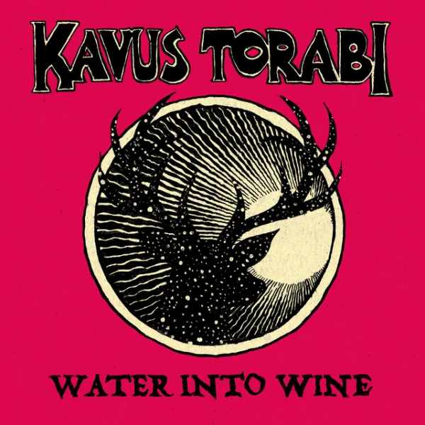 Water Into Wine by Kavus Torabi