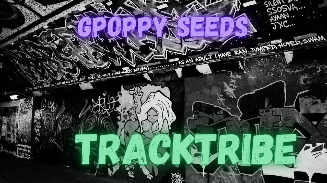 Poppy Seeds by TrackTribe | Free Download on Hypeddit