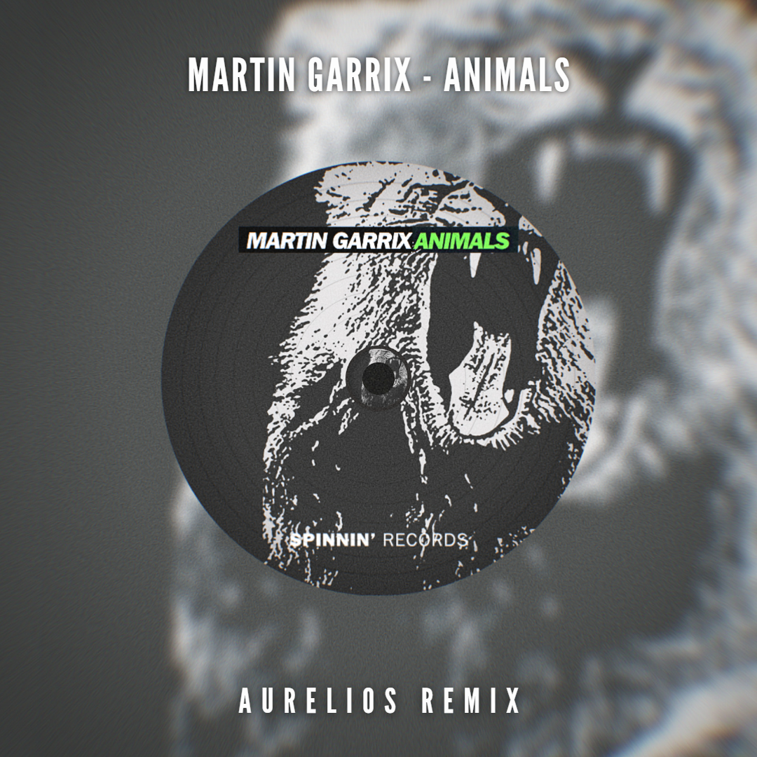 Martin Garrix animals. Martin Garrix animals mp3. Martin Garrix animals обложка.