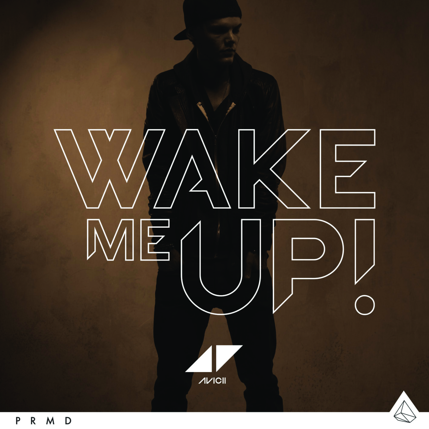 CapCut_Avicii - Wake Me Up