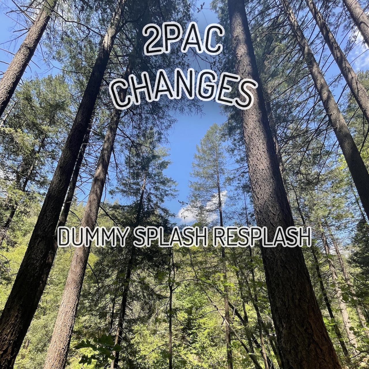 Changes (Dummy Splash Resplash) by 2Pac Free Download on Hypeddit