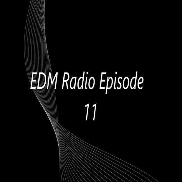 EDM Radio Episode 11 by PeetGBeatz Free Download on Hypeddit
