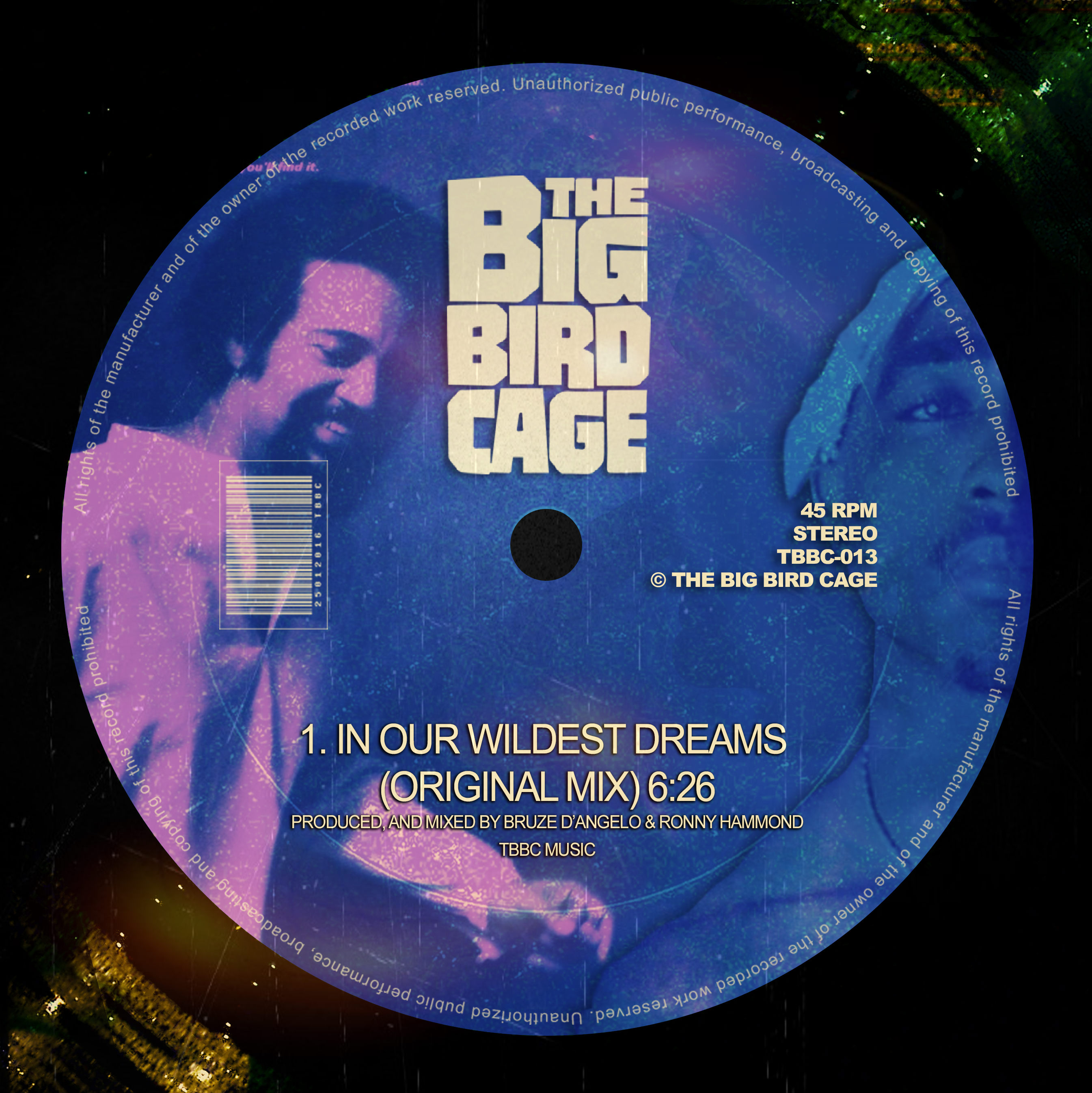 THE BIG BIRD CAGE IN OUR WILDEST DREAMS (ORIGINAL MIX) **FREE