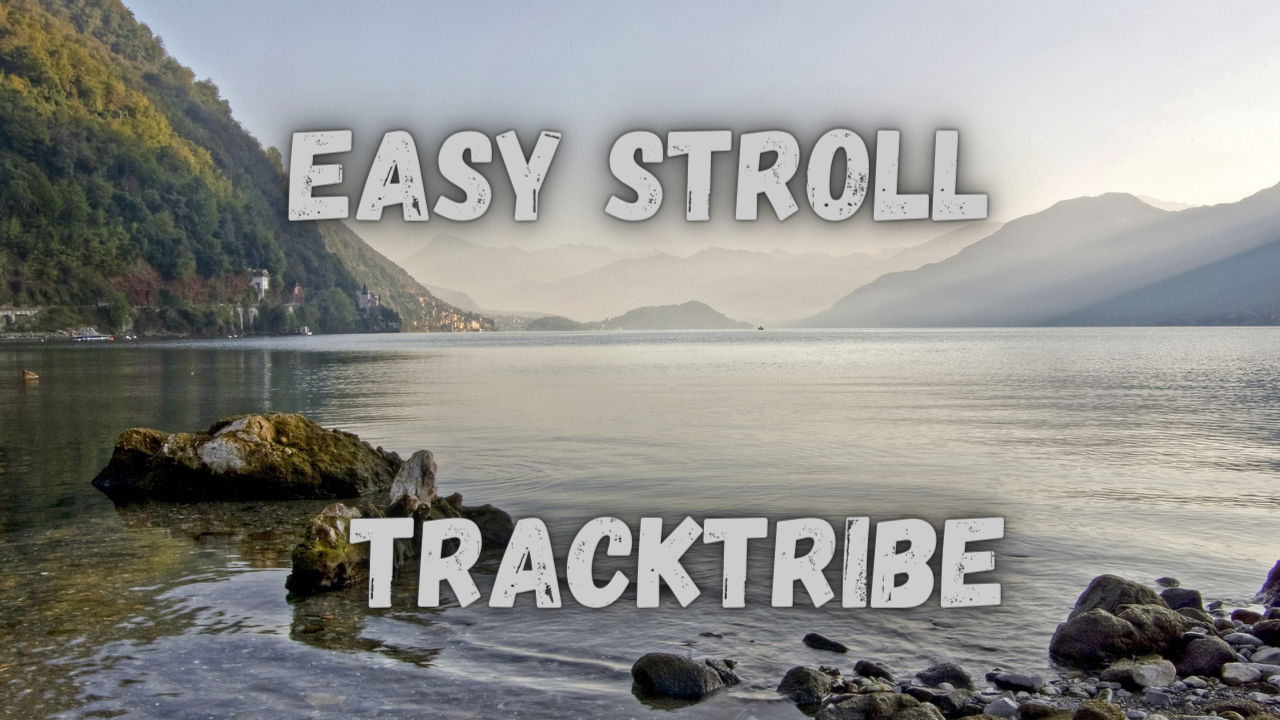 Easy Stroll by TrackTribe | Free Download on Hypeddit