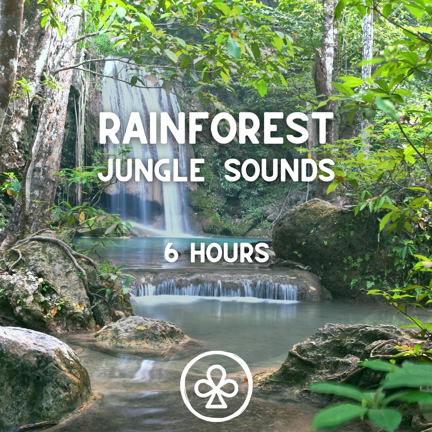 6 Hours Playlist by Rainforest Jungle Sounds
