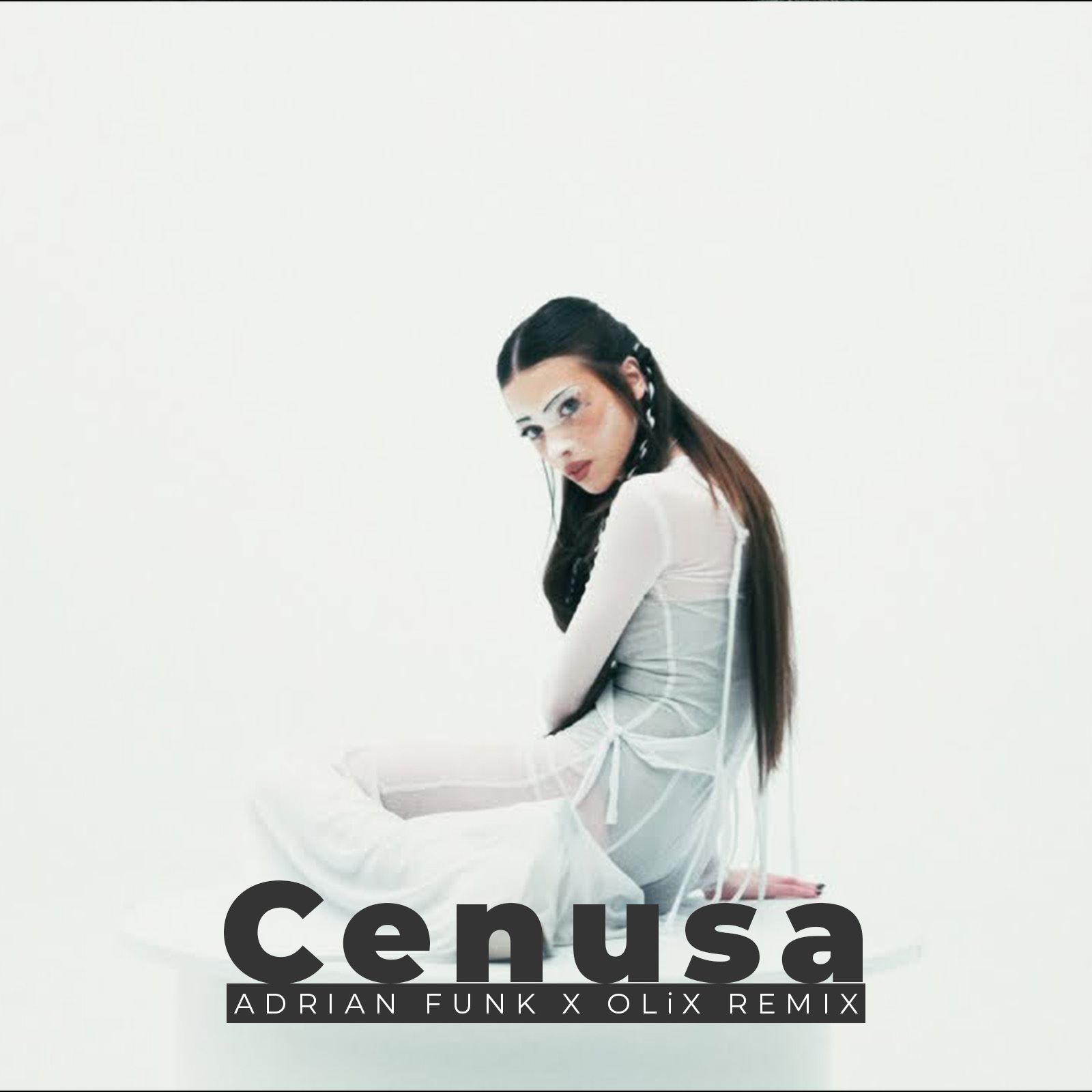 Cenusa (Adrian Funk X OLiX Remix) by Roxen | Free Download on Hypeddit