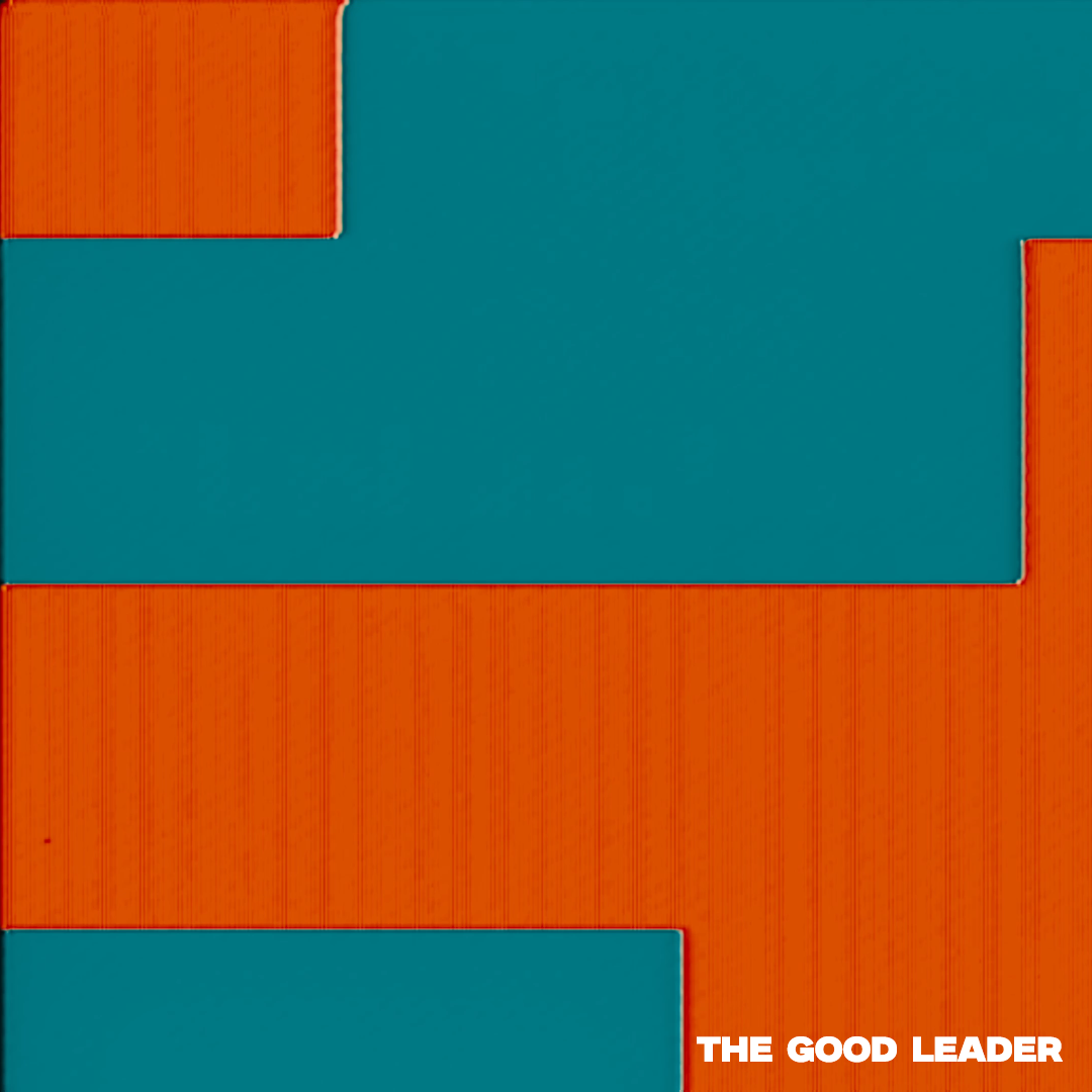 The Good Leader by VoodooV