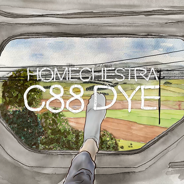 C88 DYE by HOMECHESTRA
