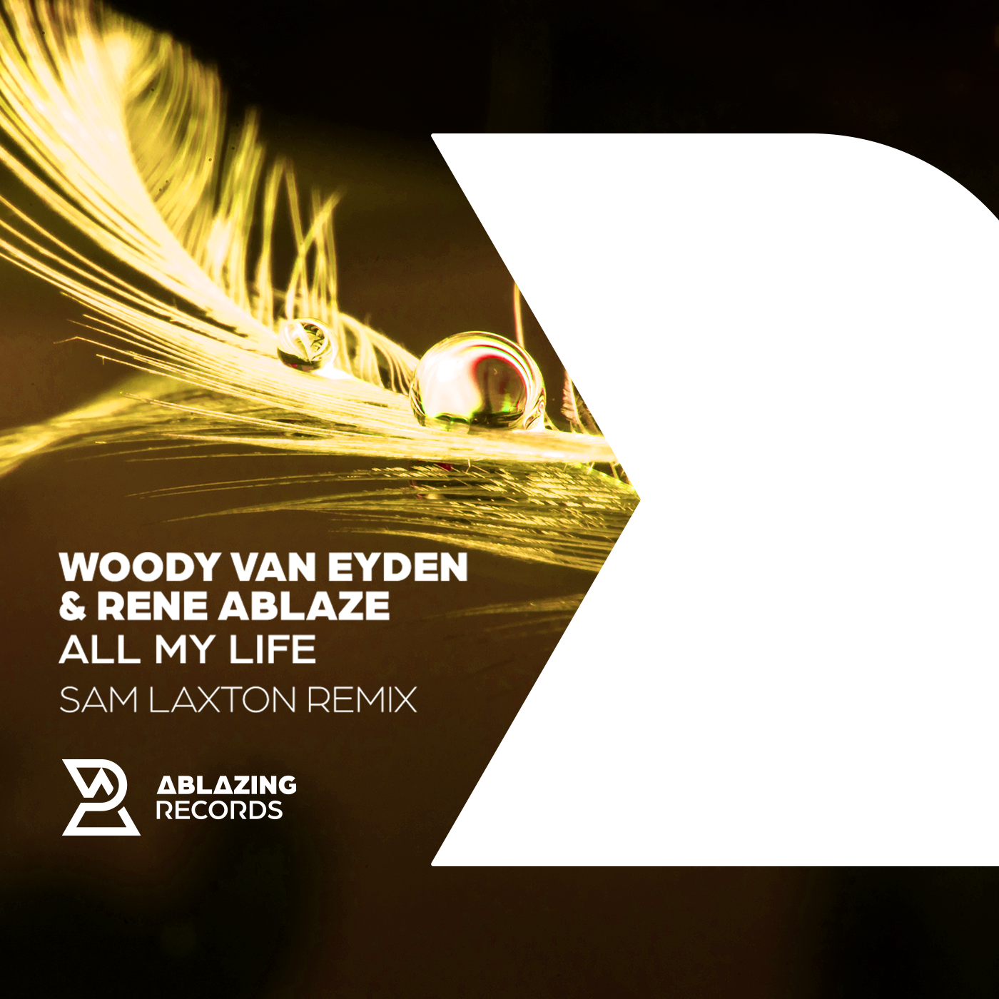 All My Life (Sam Laxton Remix) by Woody van Eyden & Rene Ablaze