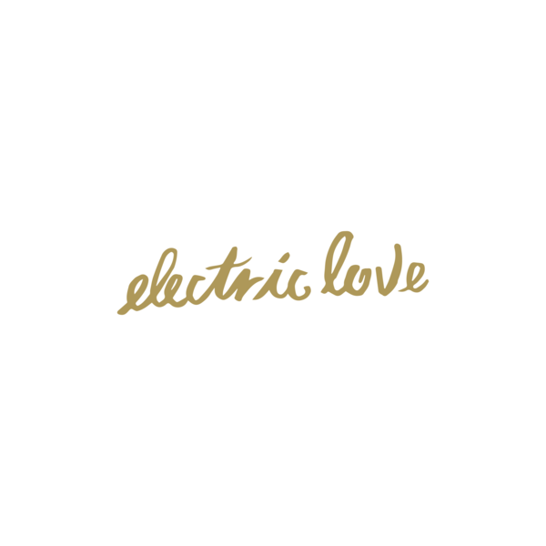 Electric Love (Instrumental) by BØRNS Free Download on Hypeddit