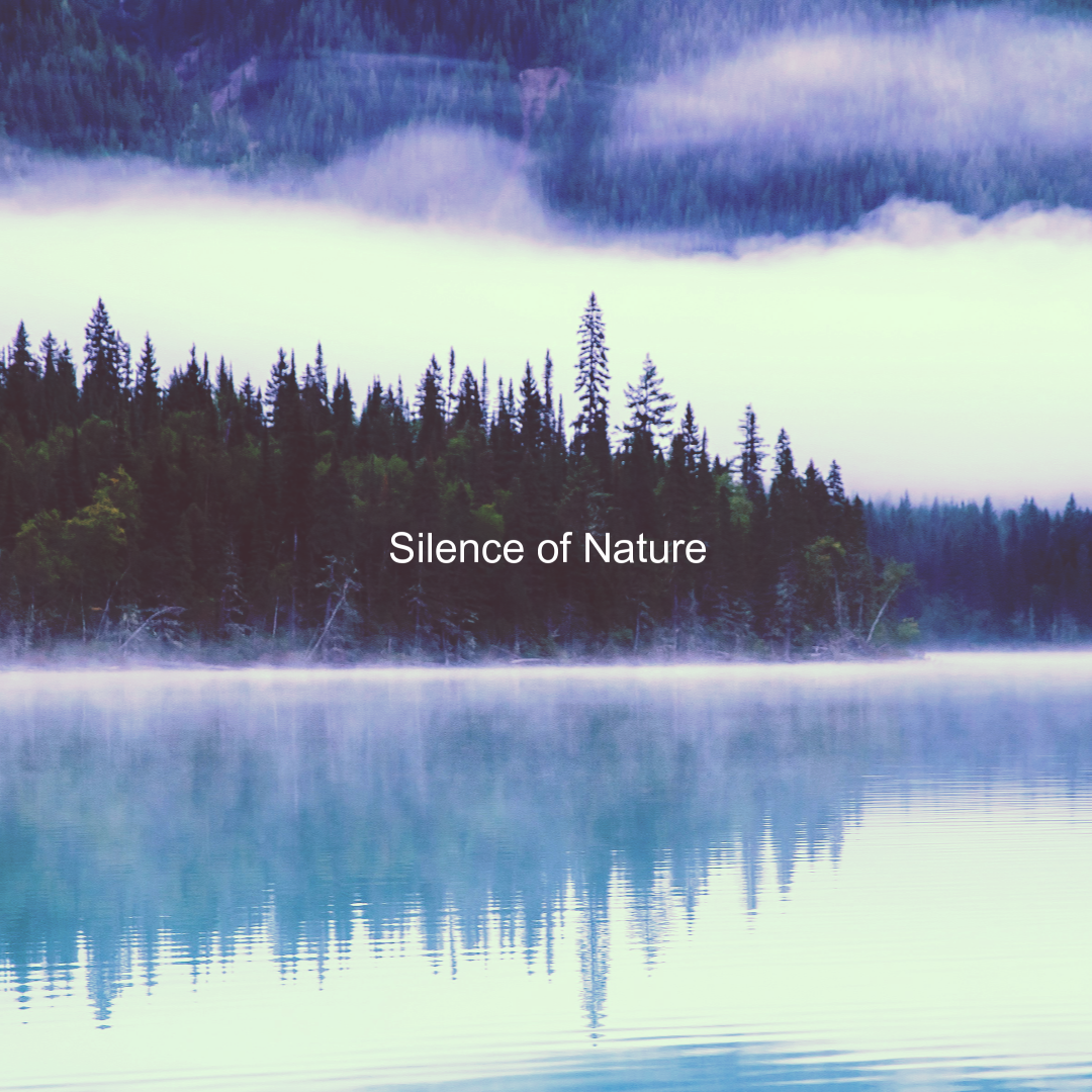 Silence of Nature by bounce blue | Free Download on Hypeddit