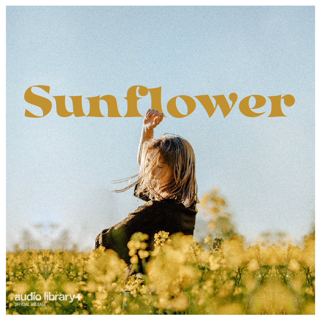 Sunflower [Audio Library Release] by Soyb Free Download on Hypeddit