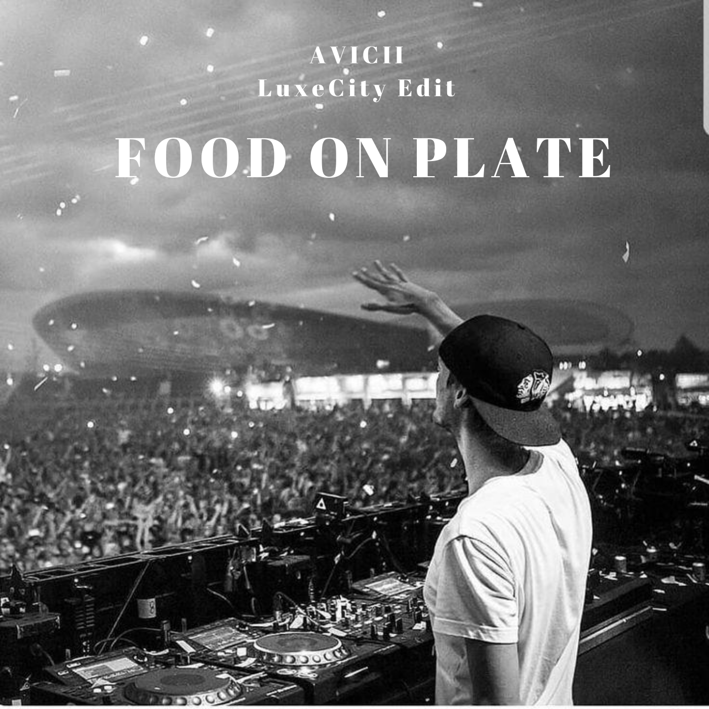 Food On Plate by AVICII, LUXECITY Free Download on Hypeddit