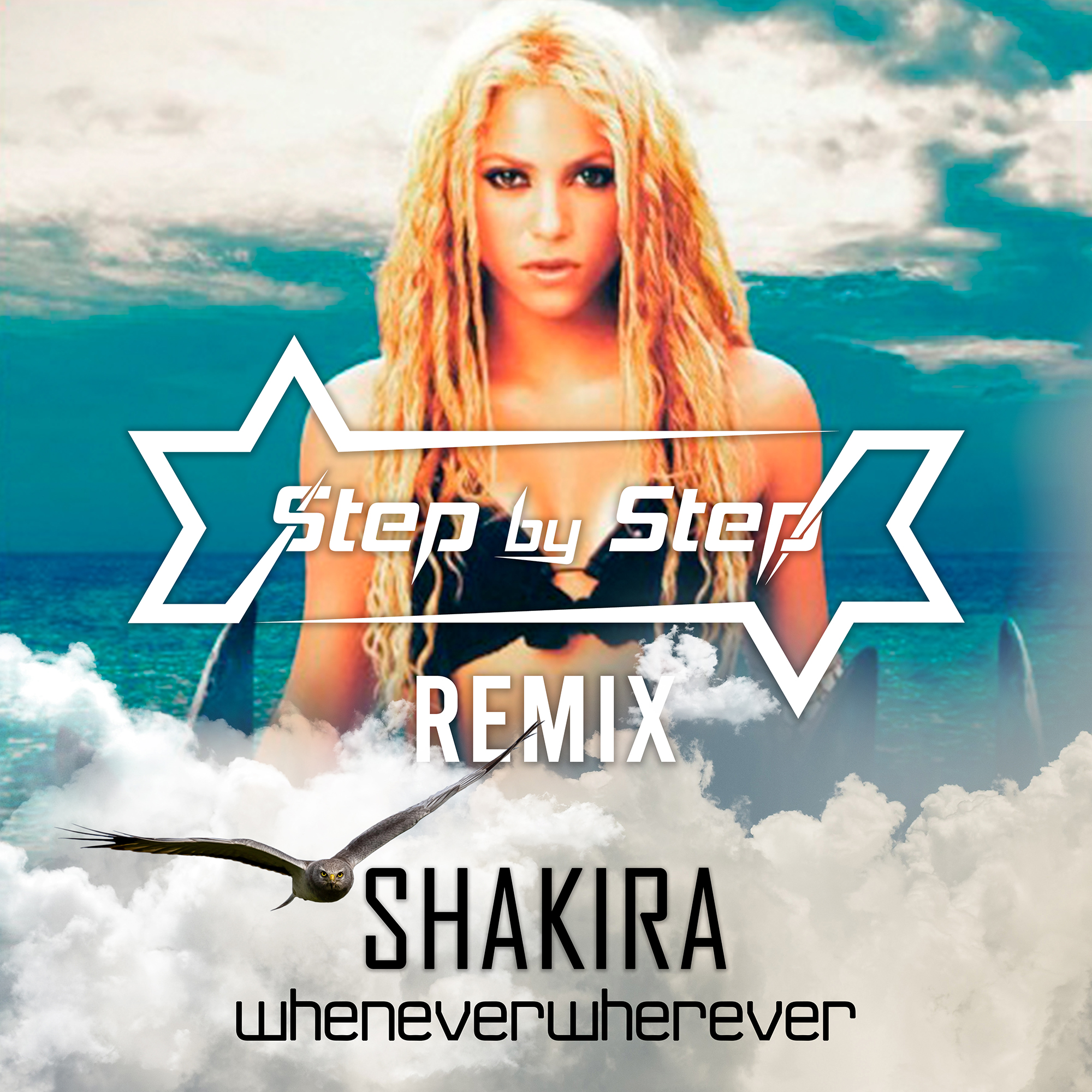 whenever-wherever-step-by-step-remix-by-shakira-step-by-step-hypeddit