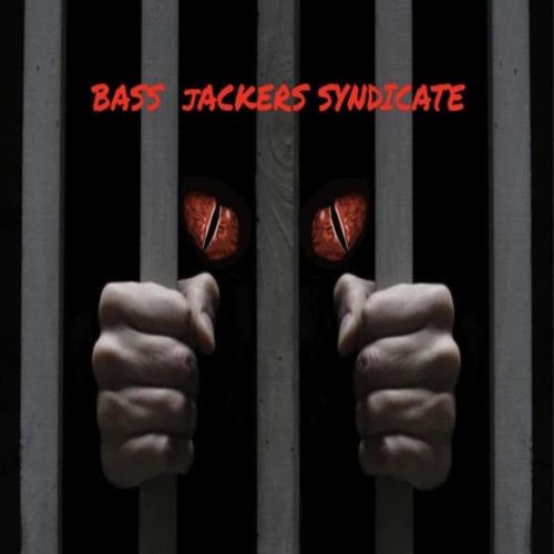 Piano In My Soul by Bass Jackers Syndicate V's Praise Cats Free